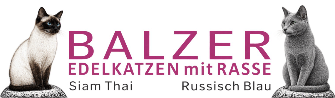 Edelkatzen mit Rasse logo