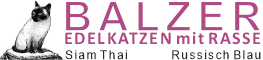 Edelkatzen mit Rasse logo
